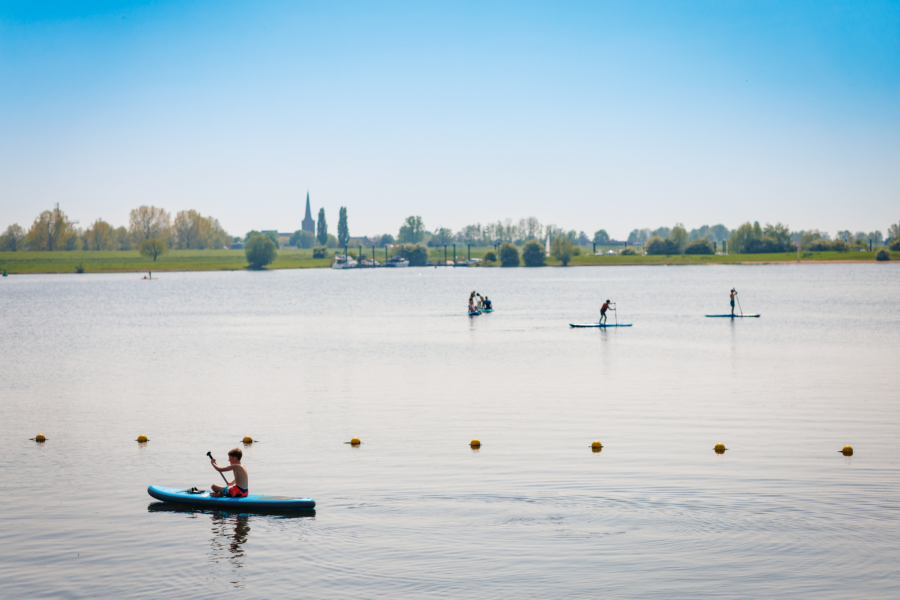 20240501 The Arrows E Ilandvan Maurik MH 57856 CR3 PURE