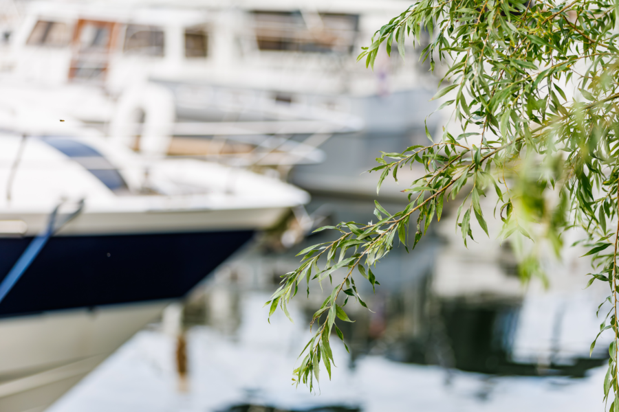 Jachthaven omringt met prachtige natuur van Betuwe